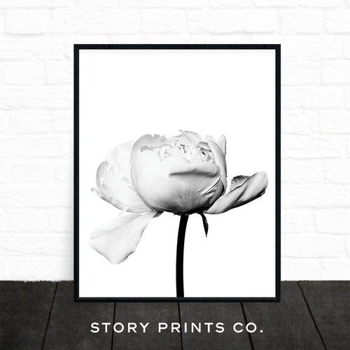 Flower Wall Art Floral Print Black and White Floral Art Etsy