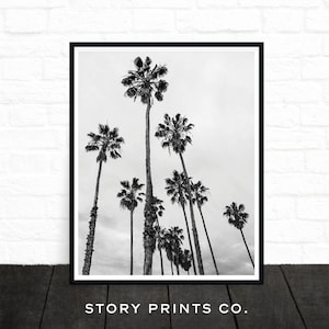 Impressão de palmeira, foto de palmeira, fotografia em preto e branco, arte de parede tropical, impressão da Califórnia, arte de palmeira, decoração de palmeira, para impressão