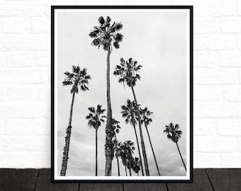 Palm Tree Print, Palm Tree Photo, Black and White Photography, Tropical Wall Art, California Print, Palm Tree Art, Palm Decor, Printable