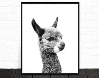 Alpaca Print, Llama Print, Llama Black and White Nursery Decor, Llama Art Animal Print, Kids Printable, Black and White Animal Prints Poster