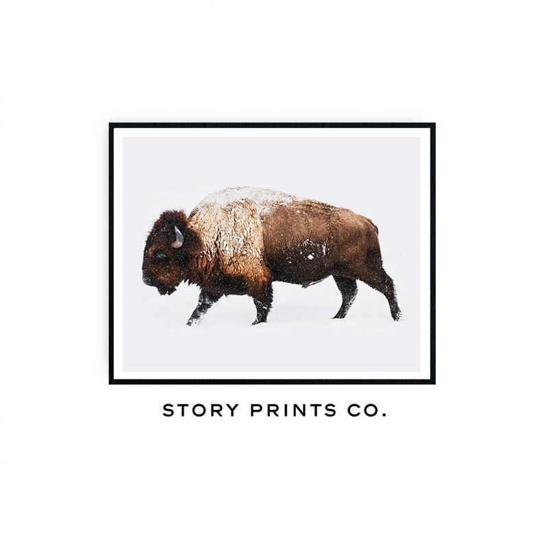 Buffalo Print, Bison Print, Large Wall Art Print, Farmhouse Decor, Animal Prints, Animal Poster Art, Living Room Art, Boys Bedroom Decor image 2
