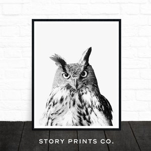 Owl Print, Owl Photo, Woodland Nursery, Animal Prints, Woodland Animals, Forest Animals, Wilderness Prints, Black and White Print, Printable