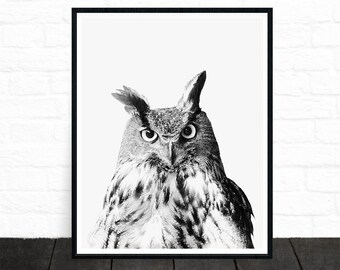 Owl Print, Owl Photo, Woodland Nursery, Animal Prints, Woodland Animals, Forest Animals, Wilderness Prints, Black and White Print, Printable