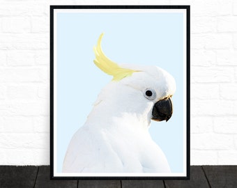 Cockatoo Print, Bird Print, Bird Photo, Animal Portrait, Nursery Art, Kids Printable, White Cockatoo, Tropical, Parrot, Printable Wall Art