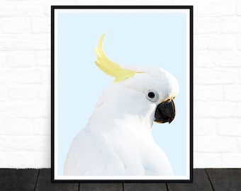 Kakadu-Druck, Vogel-Print, Vogel-Foto, Tier-Portrait, Kindergarten Kunst, Kinder bedruckbar, weiße Kakadu, Tropical, Papagei, druckbare Wandkunst