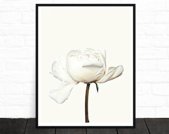 Peony Print, White Flower Art Print, White Peony Art, Spring Wall Art, Floral Art Print, Botanical Poster, Plant Print, Printable Gifts