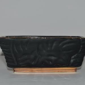 May include: A black ceramic planter with a rectangular shape and a decorative leaf pattern. The planter has a brown glazed rim and a wooden base.