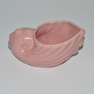 May include: A pink ceramic seashell-shaped planter. The planter has a smooth, glossy finish and a detailed, ridged exterior. The opening is oval-shaped, and the interior is also pink.