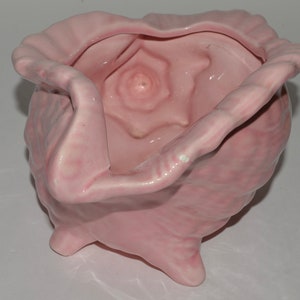 May include: A pink ceramic seashell planter with a textured surface and a star-shaped opening. The planter has three feet and is designed to hold small plants or flowers.