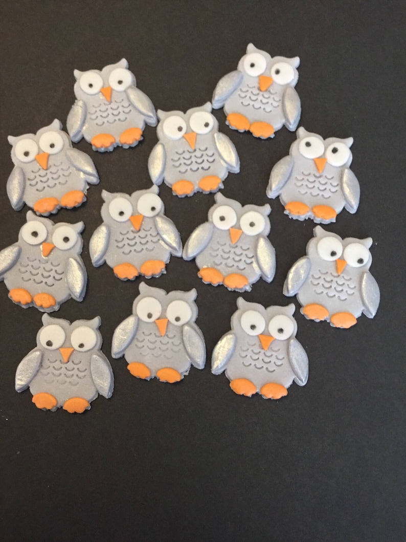 12 Owl cupcake toppers made out of fondant