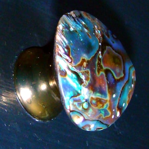 May include: A cabinet knob featuring a circular, iridescent abalone shell inlay with swirling patterns of blue, green, and brown tones. The shell is mounted on a smooth, polished brass-coloured metal base with a rounded, tapered neck design.
