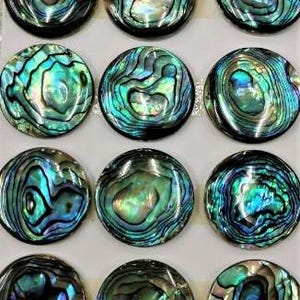 May include: A collection of twelve circular abalone shell cabochons arranged in a grid. Each piece features a polished, iridescent surface displaying swirling patterns of deep blue, vibrant green, and hints of purple with a natural lustre.