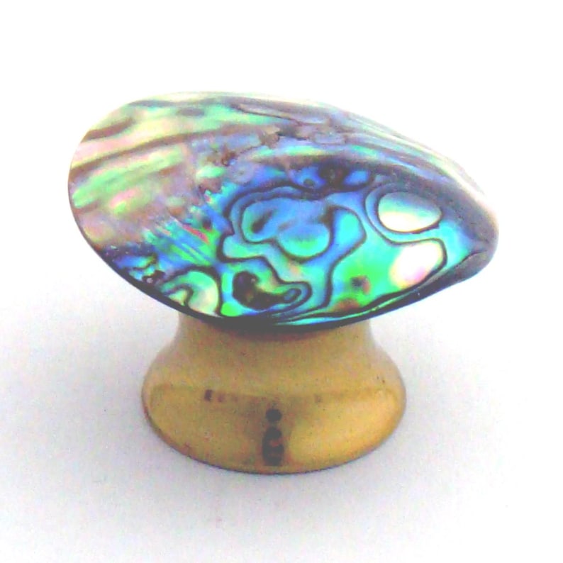 May include: A cabinet knob featuring a polished, iridescent abalone shell top with swirling patterns of blue, green, and purple. The shell is securely mounted onto a smooth, rounded, metallic gold-toned base that tapers towards the centre.