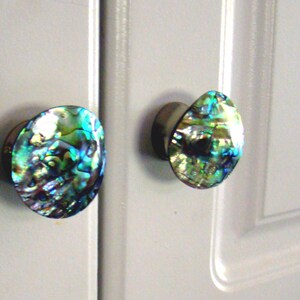 May include: Two circular cabinet knobs featuring iridescent abalone shell inlays with vibrant shades of blue, green, and gold. The knobs have a polished metallic base and are mounted onto a light grey cabinet door with vertical panel detailing.