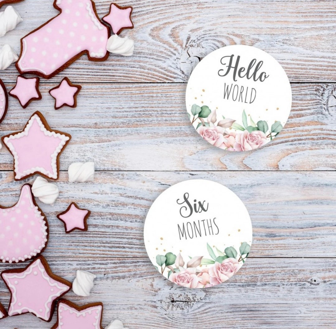 Acrylic Baby Milestone Disc Plaques Birth Announcement for - Etsy UK