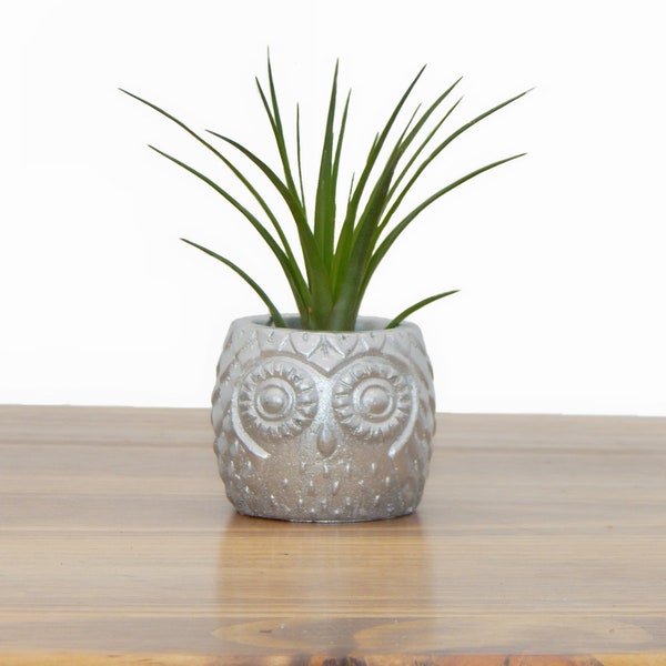 Concrete Owl Planter for Succulent or Air Plants, Handmade Concrete Pot for Plants, Planter for Desk or Dorm Decor, Owl Pot, Modern Planter