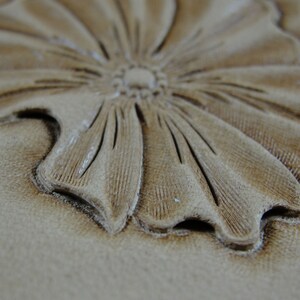 Stainless Barry King 2piece Extra Steep Petal Lifter Set leather Tools