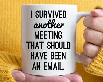 Co-worker Office Gift Idea, I Survived Another Meeting That Should Have Been An Email mug, funny work mug