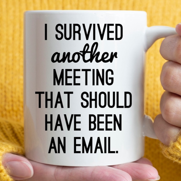 Co-worker Office Gift Idea, I Survived Another Meeting That Should Have Been An Email mug, funny work mug