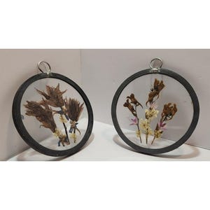 May include: Two round framed wall decor pieces with pressed flowers inside. The frames are black and the glass is clear. One piece features brown flowers and the other features brown, pink, and white flowers.