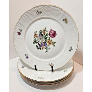 Vtg Tk Thun Europa Bouquet 10.25 Mattallrikar Set Om 5 Korgflätade Kanter Guld