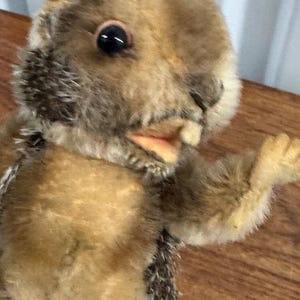 Può includere: Un giocattolo di peluche di scoiattolo marrone e bianco con un ghigno dentato e grandi occhi neri. Lo scoiattolo è fatto di un materiale morbido e peloso e ha una lunga coda folta.