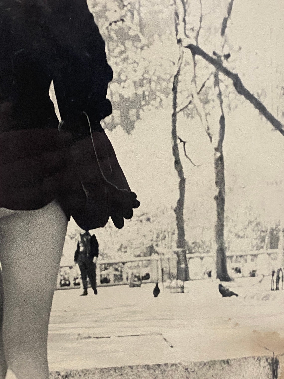 Vintage 1960 S Pantyhose Nylons Model Advertising Photo Etsy