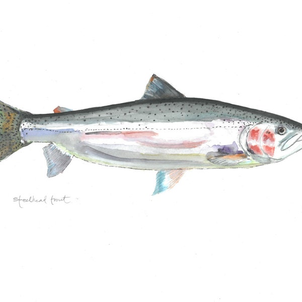 Steelhead 2 aquarel - Giclee archivering Print - aangepaste grootte beschikbaar