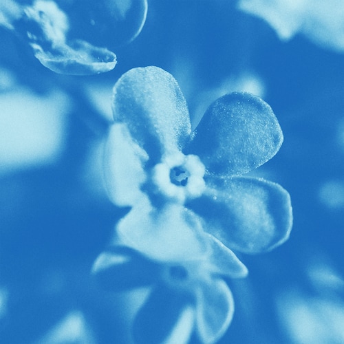 ヴィンテージ ロイヤル コペンハーゲン 磁器フィギュア：ガチョウ泥棒