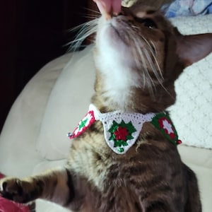 Puede incluir: Un gato atigrado marrón con un collar blanco tejido con diseños de árboles de Navidad rojos y verdes. El gato está mirando hacia arriba. El collar es un accesorio festivo.