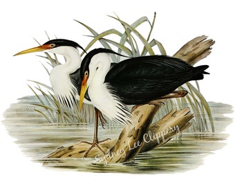 Printable Heron Etsy
