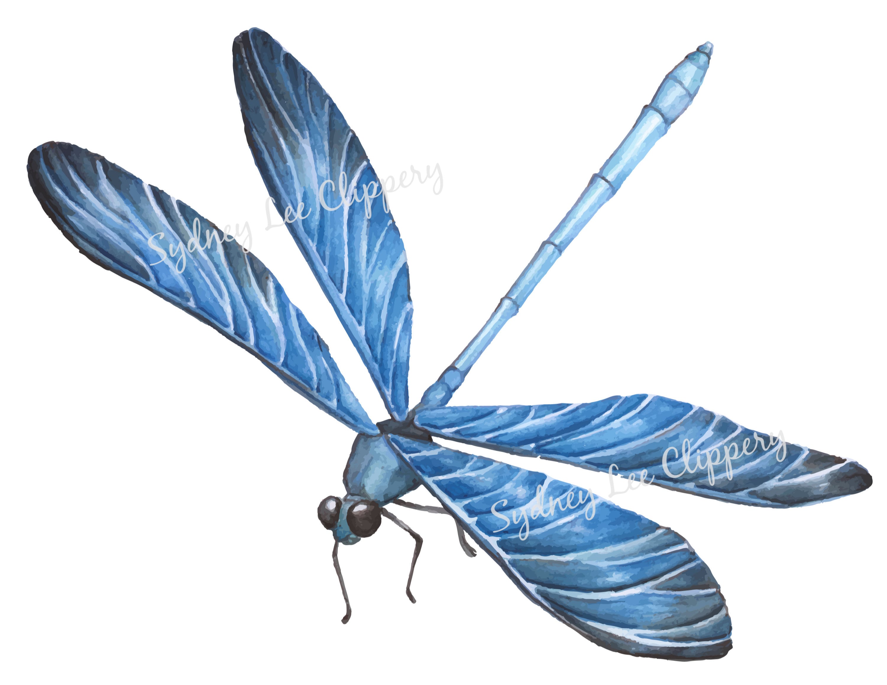 BLUE DRAGONFLY Vintage ClipArt Printable jpg &amp; Transparent | Etsy