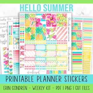 Ananas Aufkleber, Sommer Wochenplaner Kit, Erin Condren Wochenplaner Kit, druckbarer Planer, Hallo Sommer