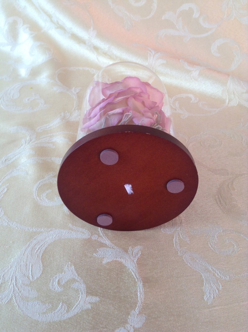 Preserved funeral flower glass dome 4 x 7