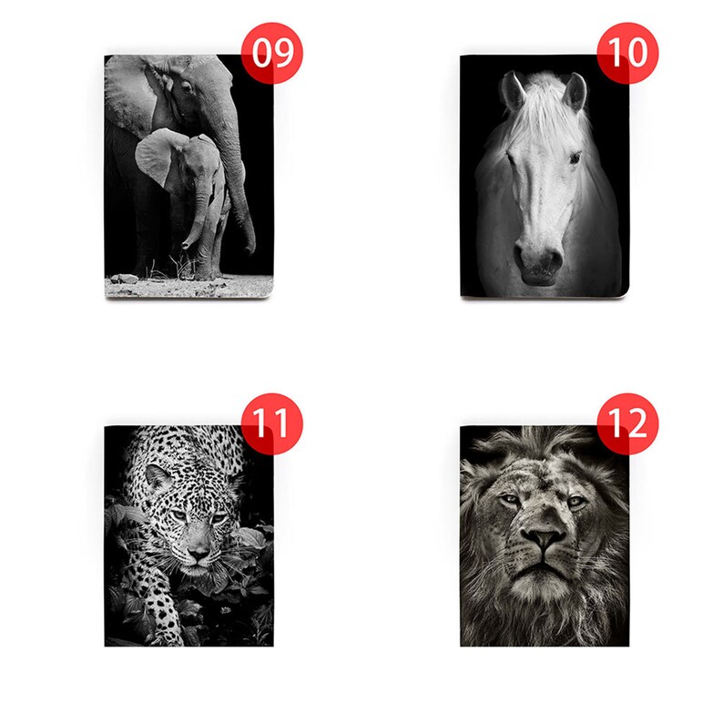 May include: Four black and white images of animals. The top left image shows an elephant and a baby elephant. The top right image shows a white horse. The bottom left image shows a leopard. The bottom right image shows a lion.
