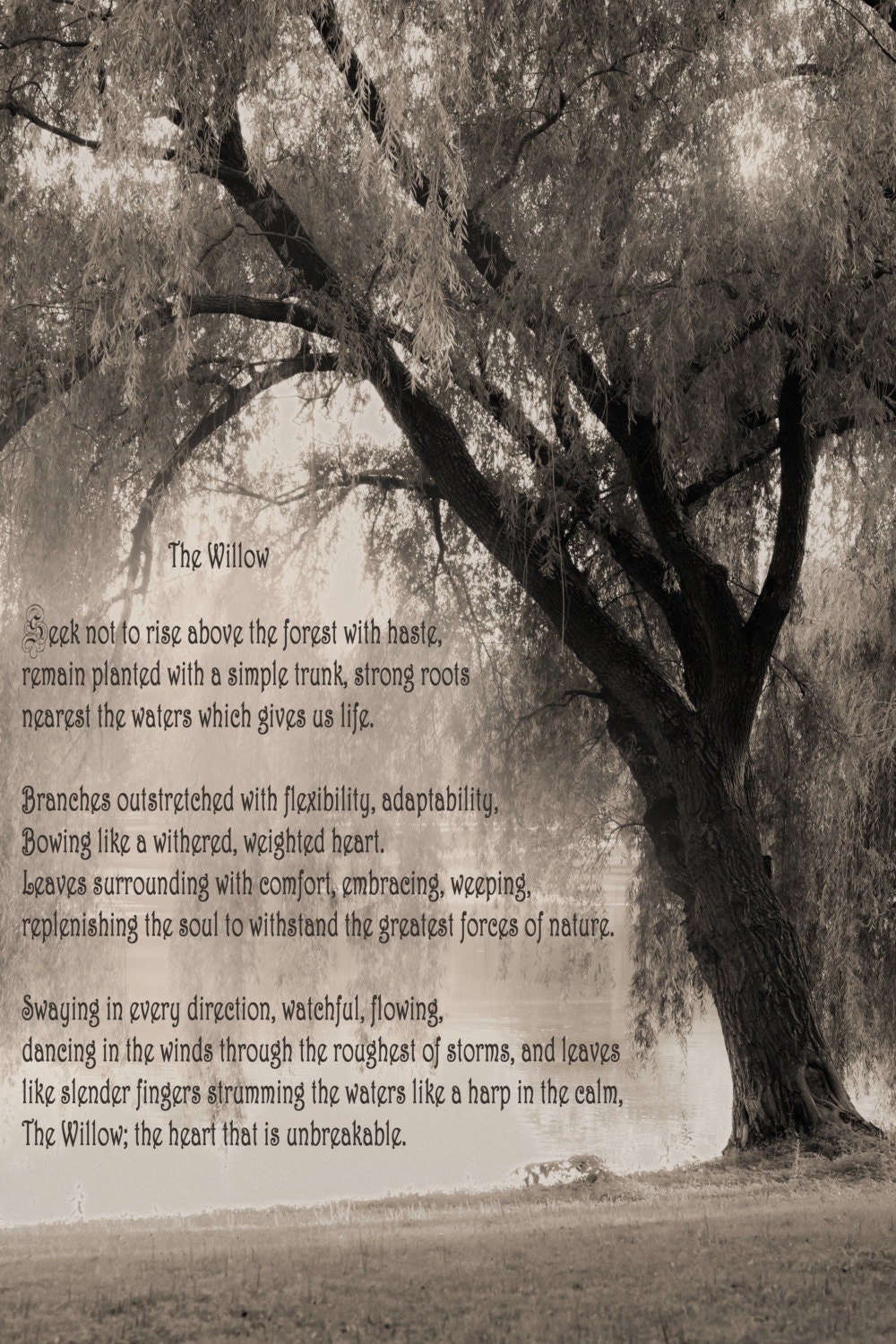 The Willow Poem Poetry Photography Sepia Willow Tree Etsy