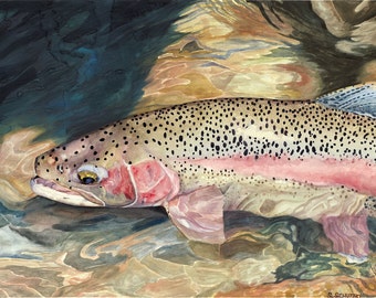 Fly Fishing Watercolor print of Rainbow Trout