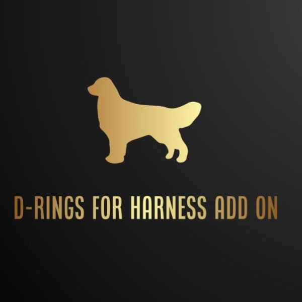 D-ring add on