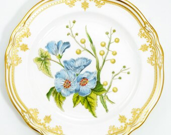 Spode Stafford Flowers Salad & Dessert Plate Set of 6 Gold and