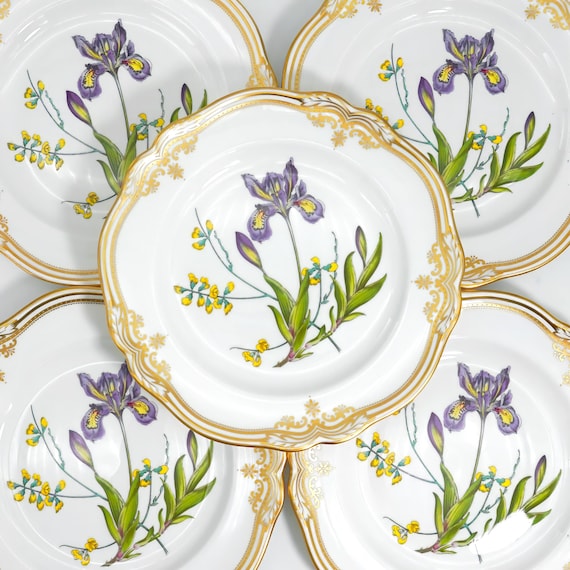 Spode Stafford Flowers Dinner Plate Set of 8 | Gold and White Bone