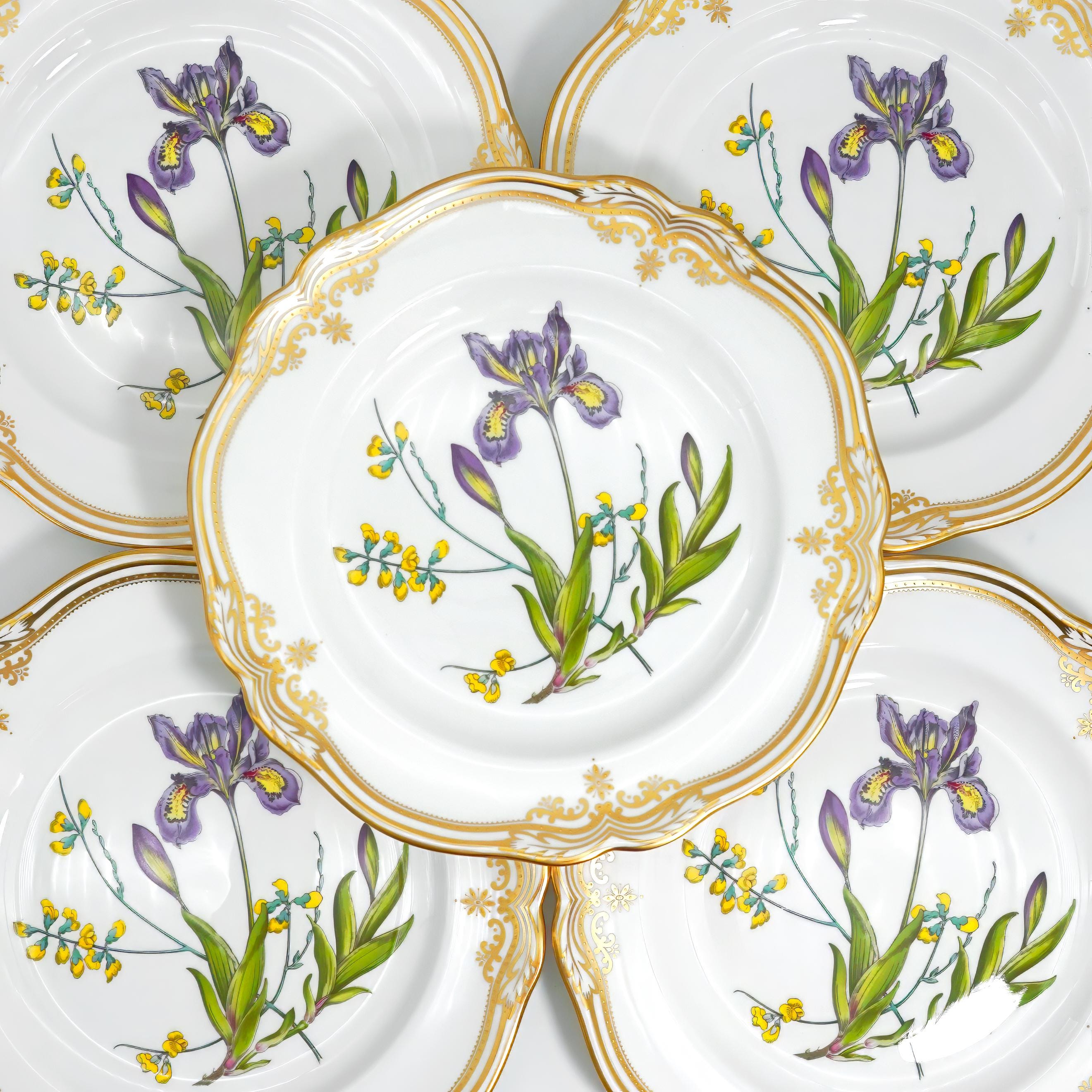 Spode stafford - Etsy 日本