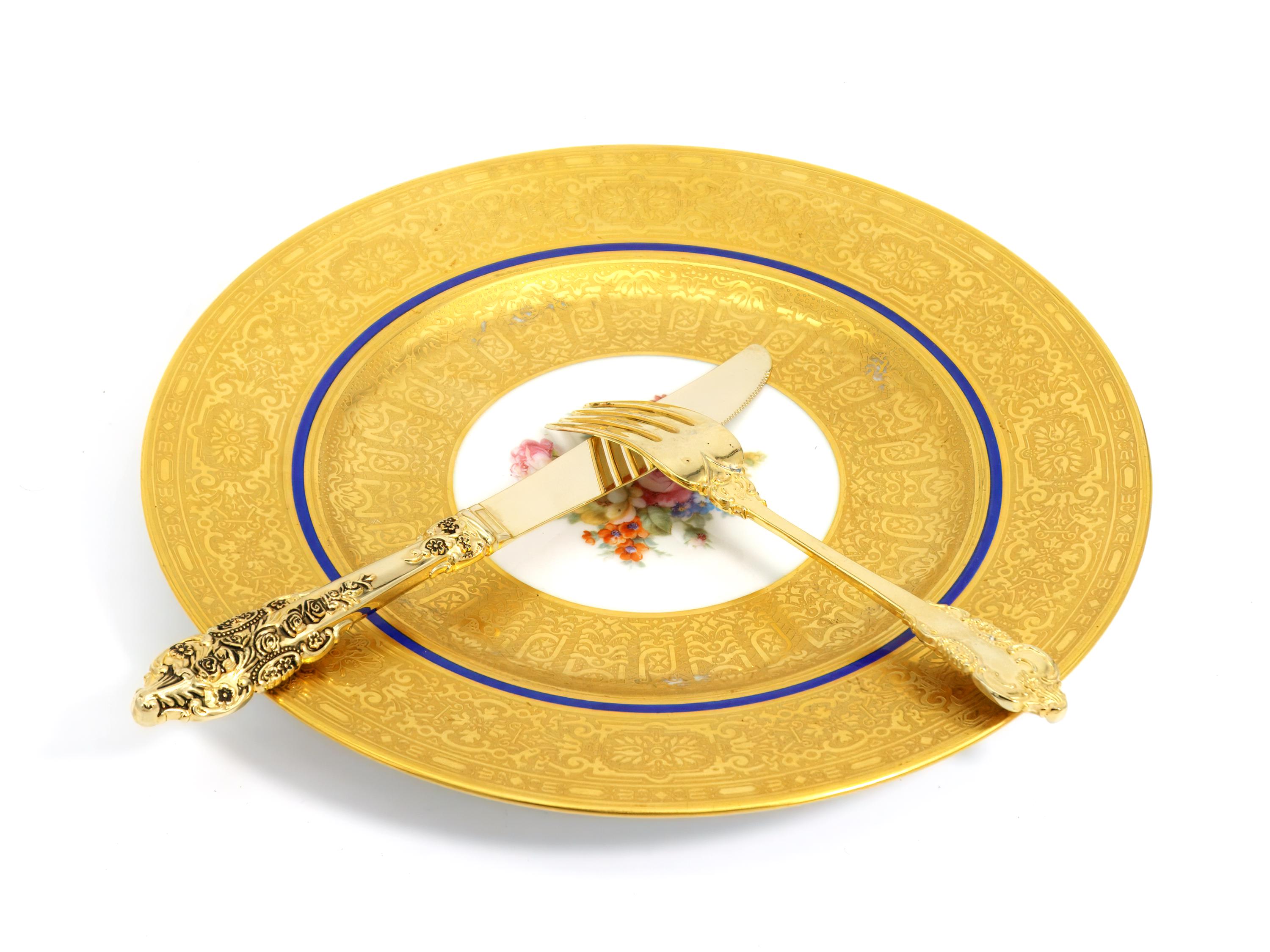 HUTSCHENREUTHER MIDI DINNER PLATE 5枚セット HUTSCHENREUTHER MIDI