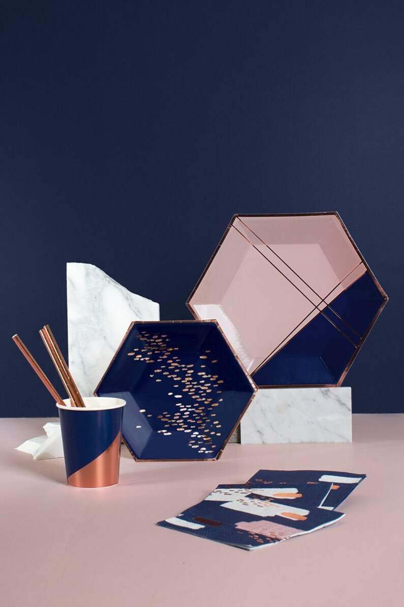 Pale Pink and Navy Colorblock Large Paper Plates pk of 8