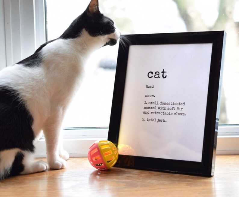 Cat Art Print Cat Definition Funny Cat Print Cat Lover Etsy