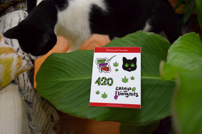 Paquete de pegatinas para gatos, hoja de pegatinas para malezas, gatitos y cannabis, pegatinas para planificadores imagen 6