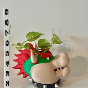 Bowser Pflanzer Geschenk Dekoration