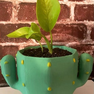 May include: A green cactus-shaped planter with yellow dots, holding a small green plant with two leaves. The planter is sitting on a white surface.