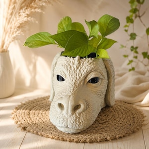 Falkor: Never Ending Story Planter Gift | Home Decor