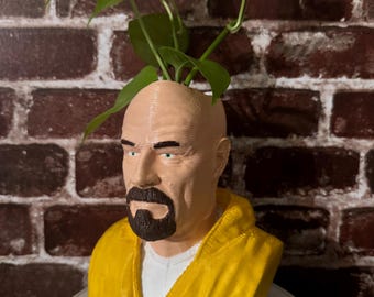 Heisenberg Planter w Removable Pot