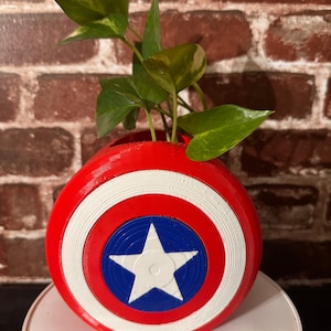 Puede incluir: Un macetero con forma de escudo del Capitán América, rojo, blanco y azul, con una planta verde que crece en él.
